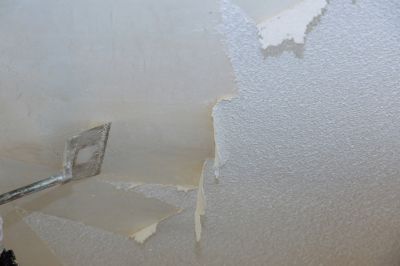 Ceiling Texture Repair